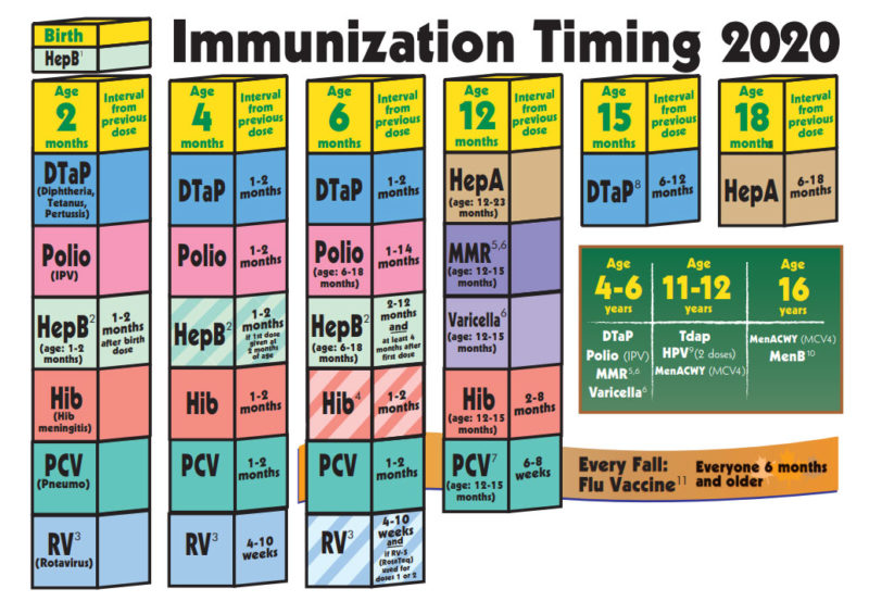 Comprehensive Immunization Services For Newborn Baby   Immunization Chart 2020 800x565 